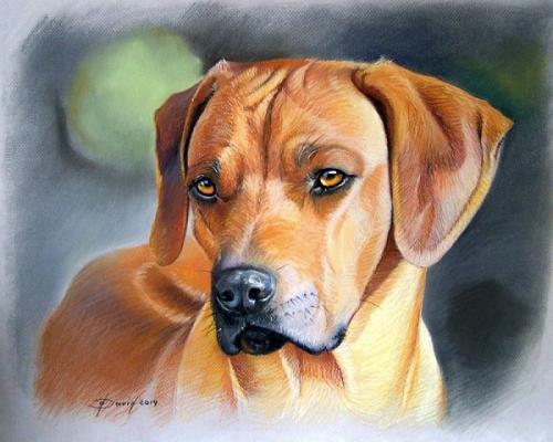 Hundenporträt Pastell auf Papier